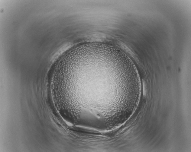 X0000060750675200511171123