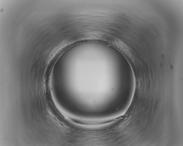 X0000060750676200511171123