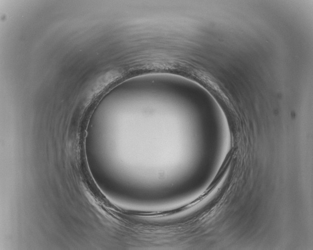 X0000060750677200511171123