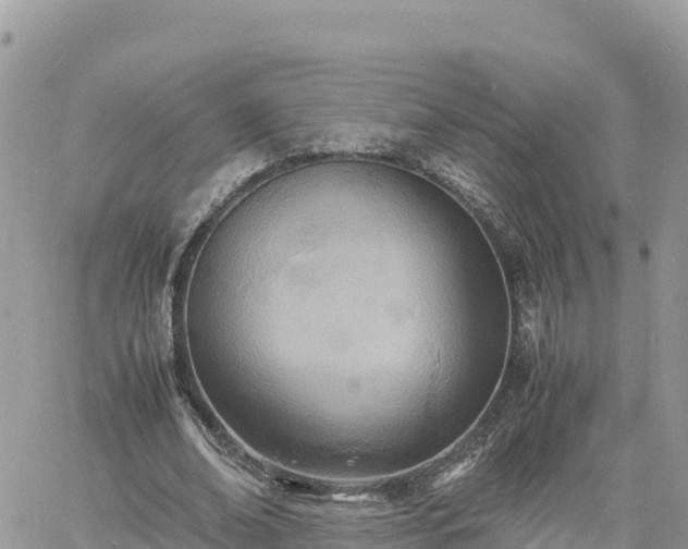 X0000060750678200511171123