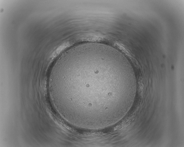 X0000060750679200511171123