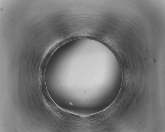 X0000060750680200511171123