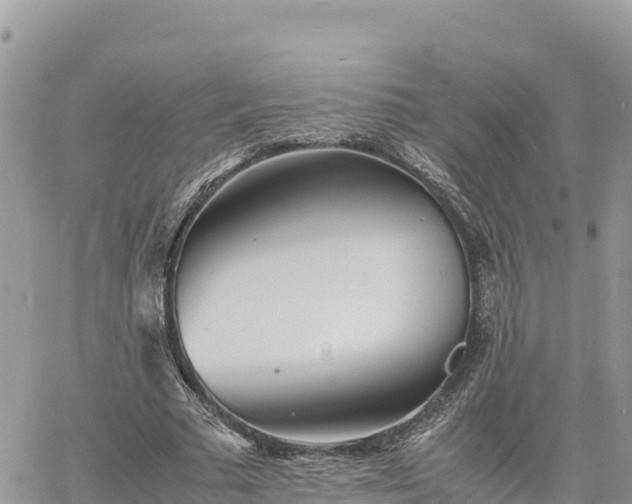 X0000060750681200511171123