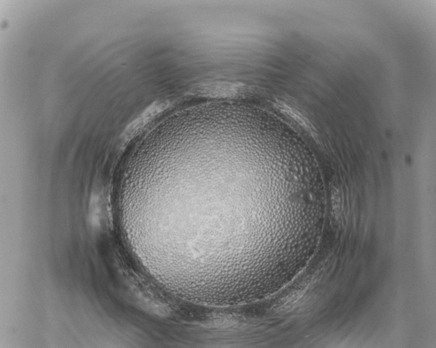 X0000060750682200511171123