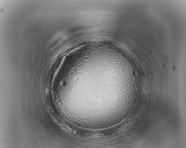 X0000060750683200511171123