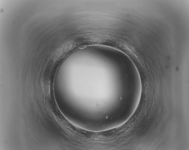 X0000060750685200511171123