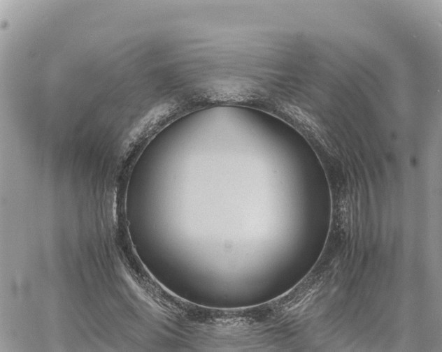 X0000060750686200511171123