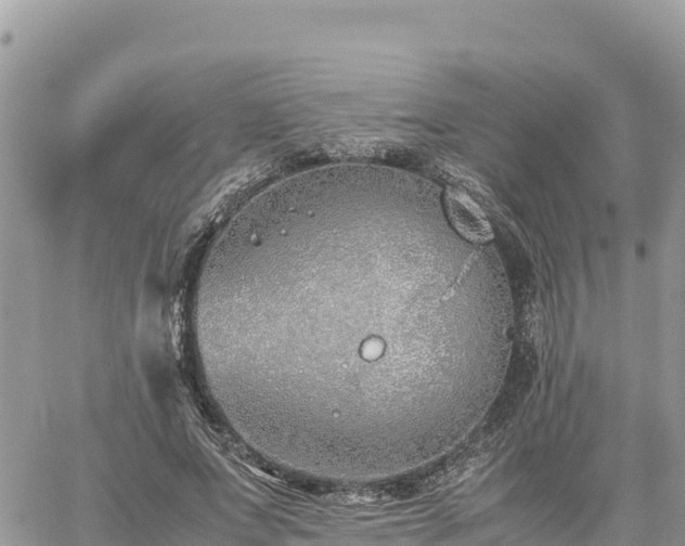 X0000060750687200511171123