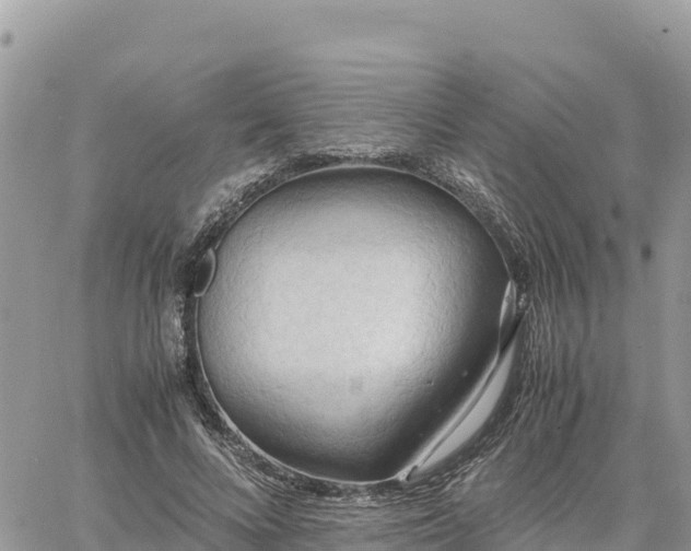 X0000060750688200511171123