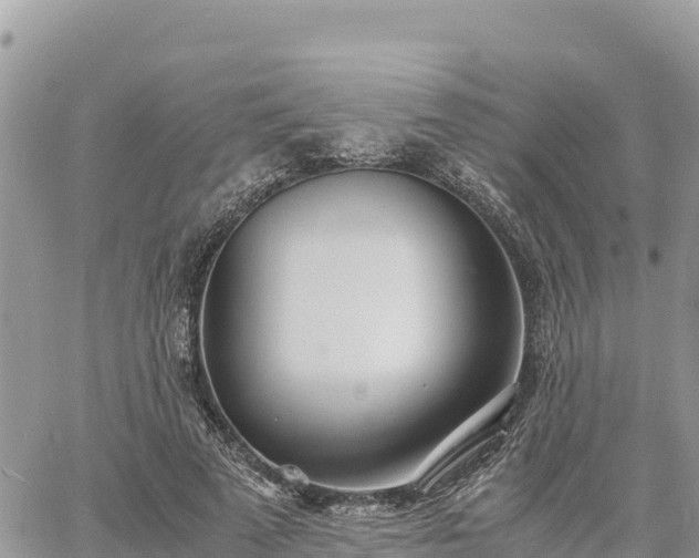 X0000060750689200511171123