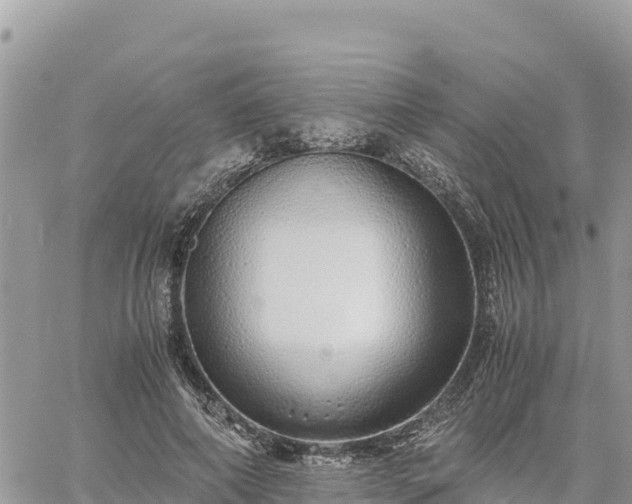 X0000060750690200511171123