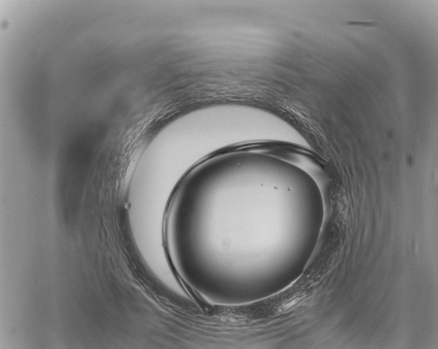 X0000060750691200511171123