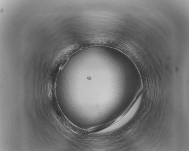 X0000060750692200511171123