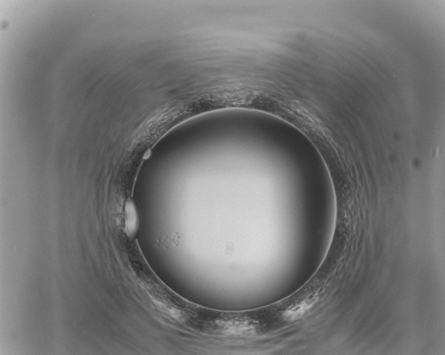 X0000060750693200511171123