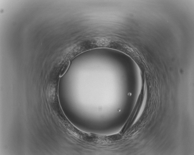 X0000060750697200511171123