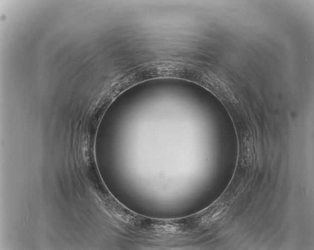 X0000060750698200511171123