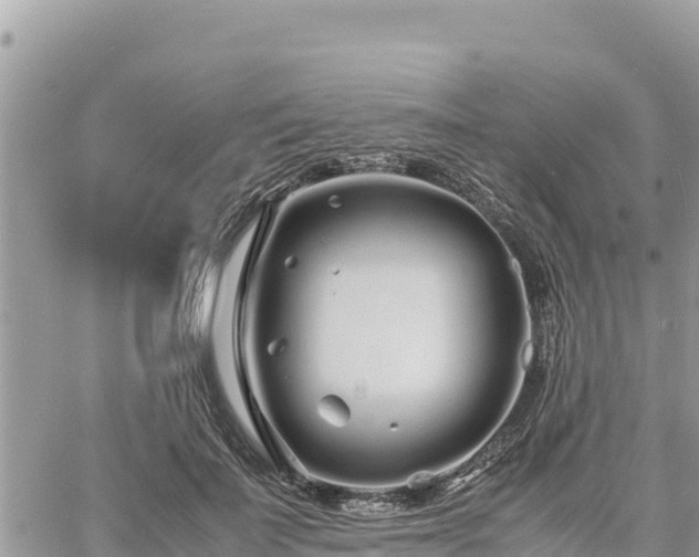 X0000060750699200511171123