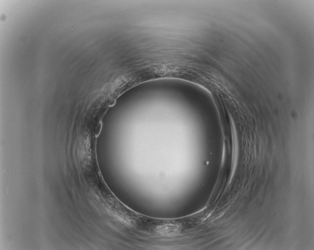 X0000060750700200511171123