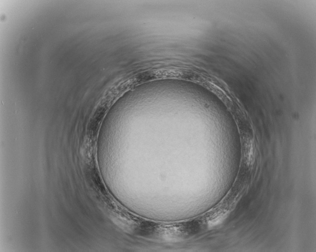 X0000060750701200511171123