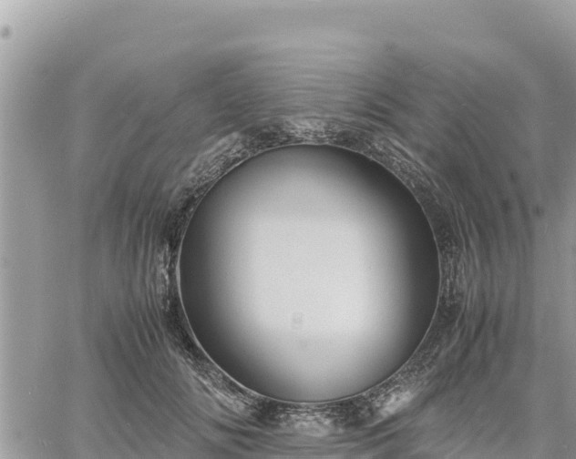 X0000060750702200511171123