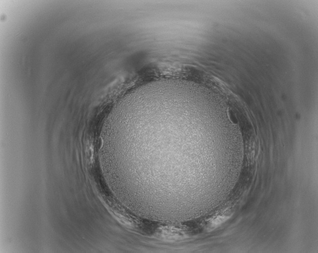 X0000060750703200511171123