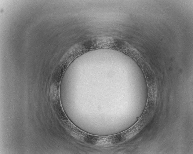 X0000060750705200511171123