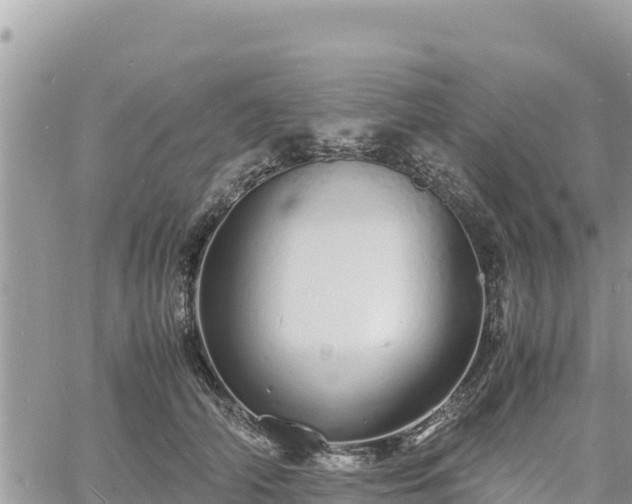 X0000060750706200511171123