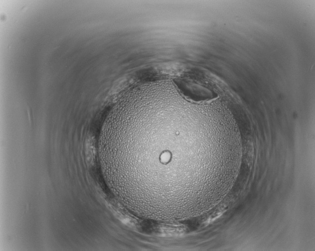 X0000060750707200511171123