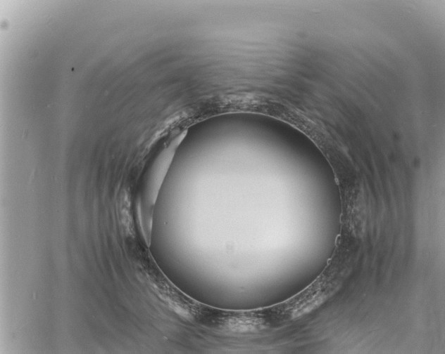 X0000060750708200511171123