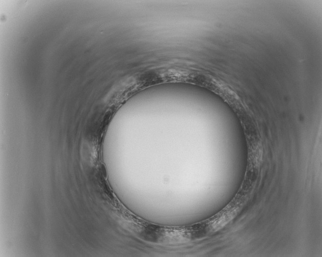 X0000060750709200511171123