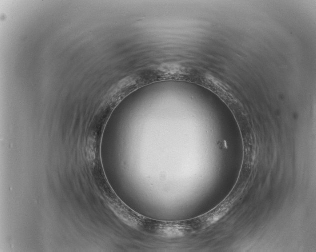 X0000060750710200511171123