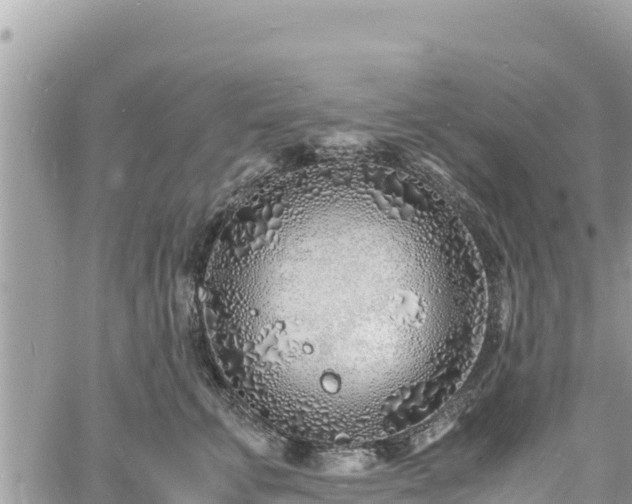 X0000060750711200511171122