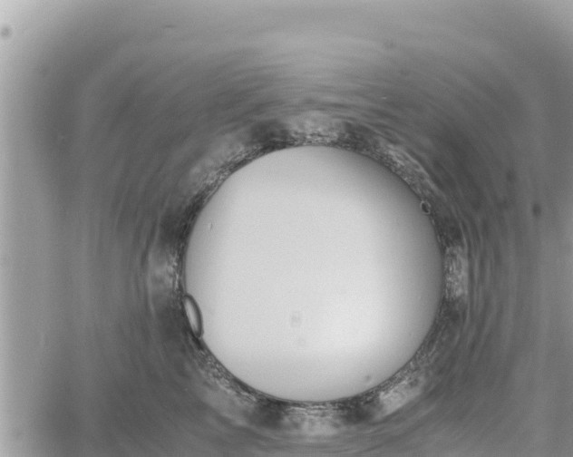 X0000060750713200511171122