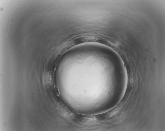 X0000060750715200511171122