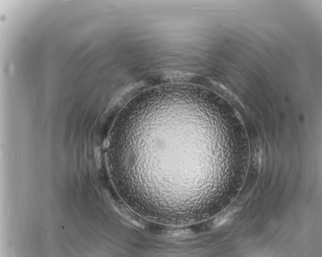 X0000060750716200511171122