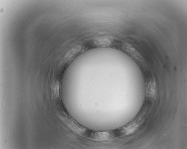 X0000060750717200511171122