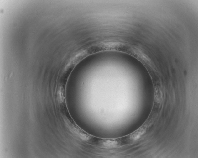 X0000060750718200511171122