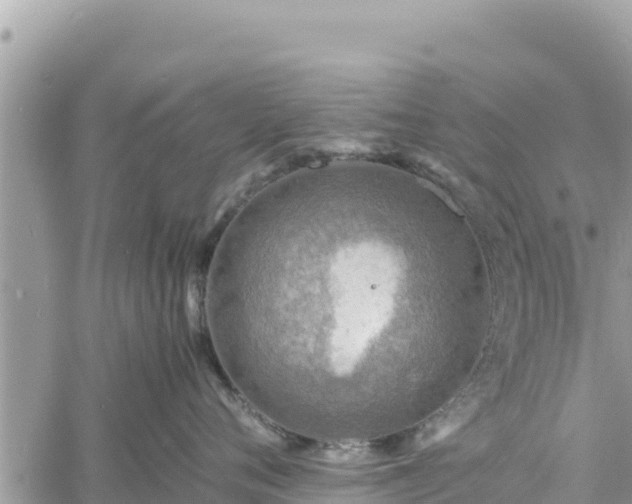 X0000060750720200511171122