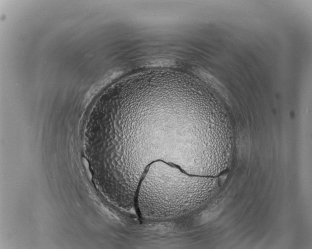 X0000060750721200511171122