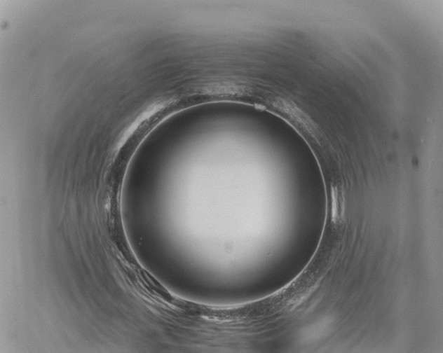 X0000060750723200511171122