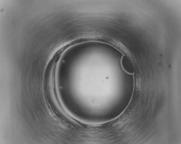 X0000060750724200511171122