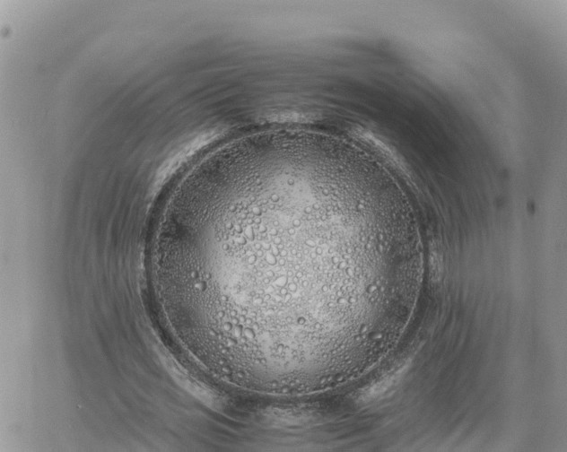 X0000060750725200511171122