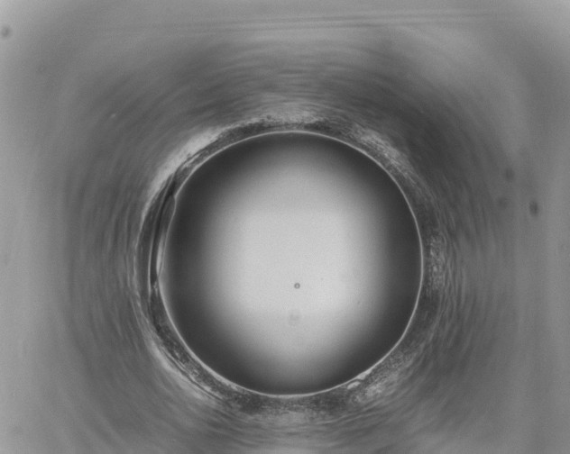 X0000060750726200511171122