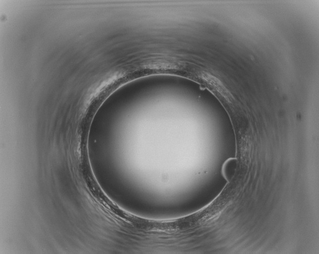 X0000060750727200511171122