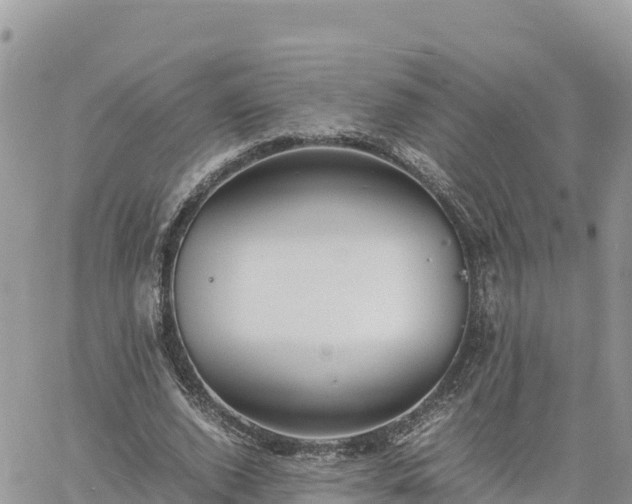 X0000060750728200511171122