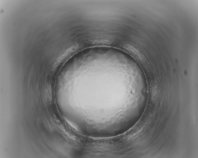 X0000060750729200511171122