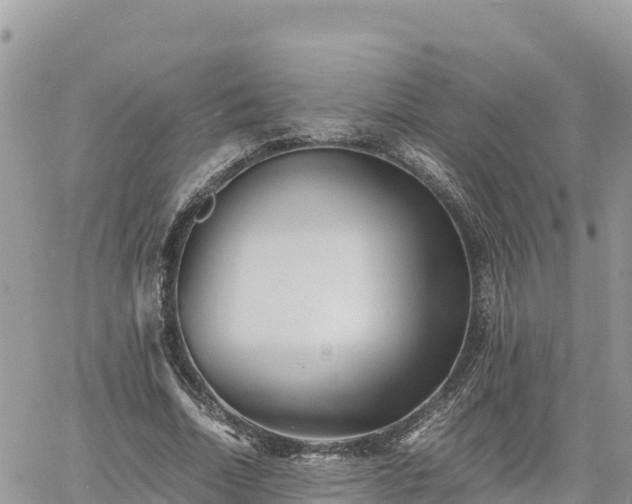 X0000060750730200511171122