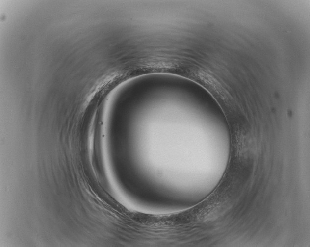 X0000060750731200511171122