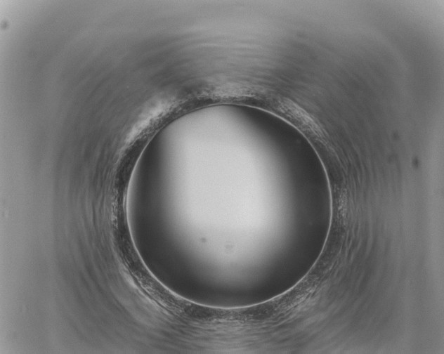 X0000060750732200511171122