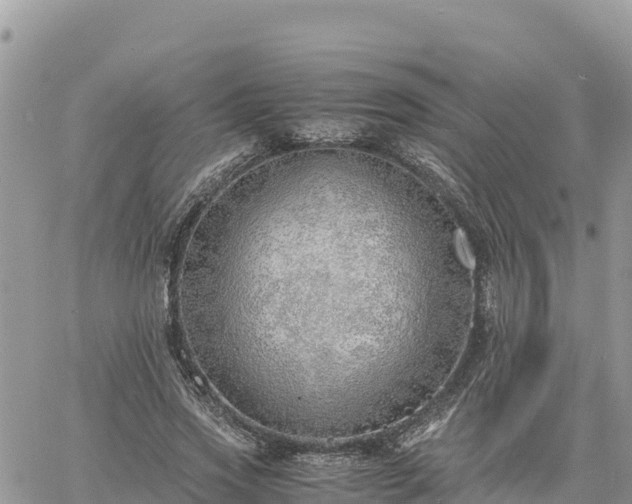 X0000060750733200511171122